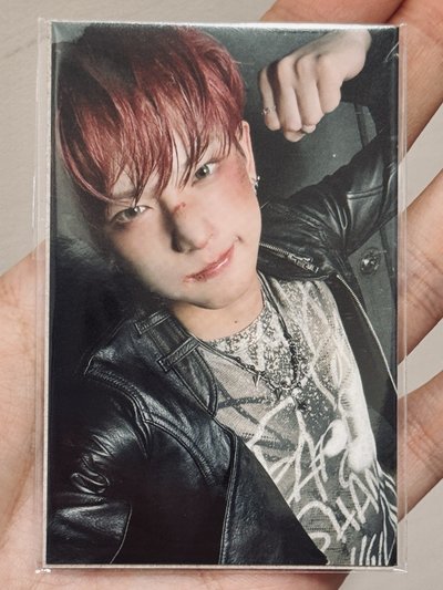 BtL Harua狼頭卡套