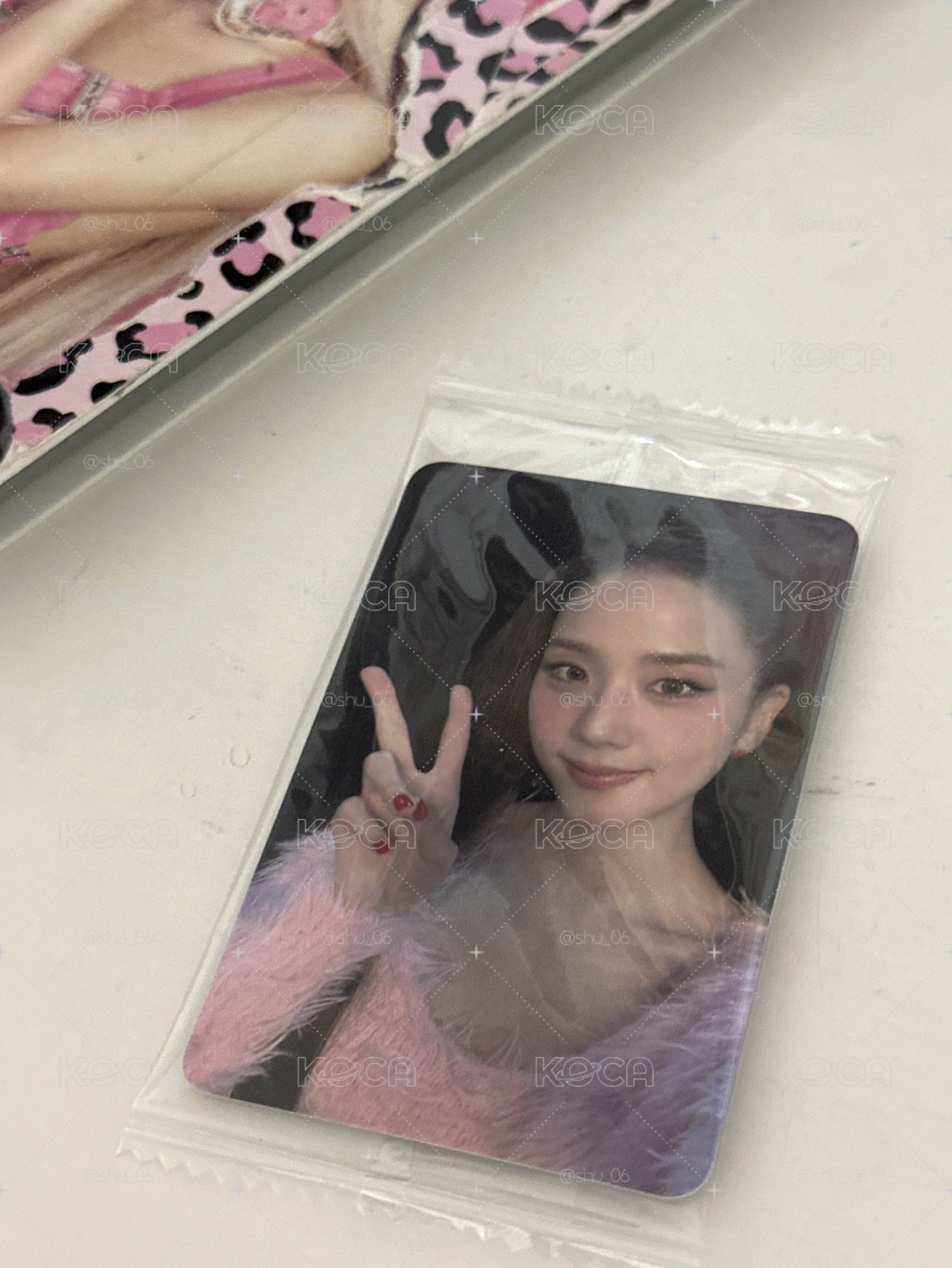 AMORTAGE k4 預售 特典卡 