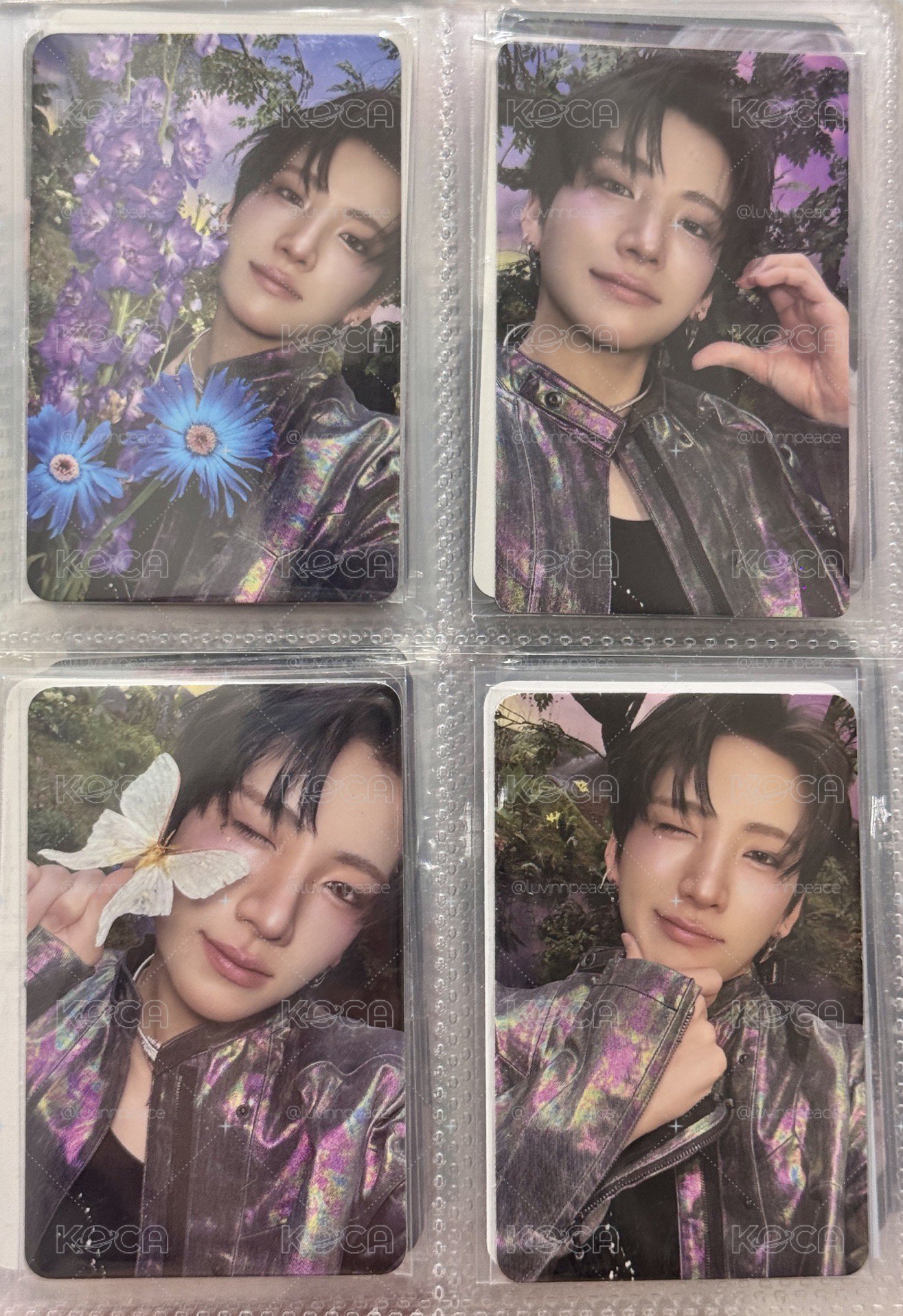 🐱Yuma BtL 精靈四片大總匯
