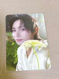 正規四 wm 幸運卡 