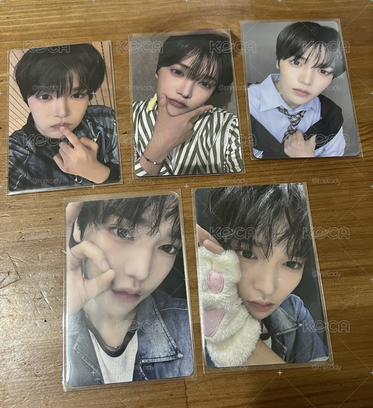 張翰音小卡 男寶二展覽會