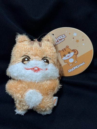 欸尼梯子們（需帶綁物下單）