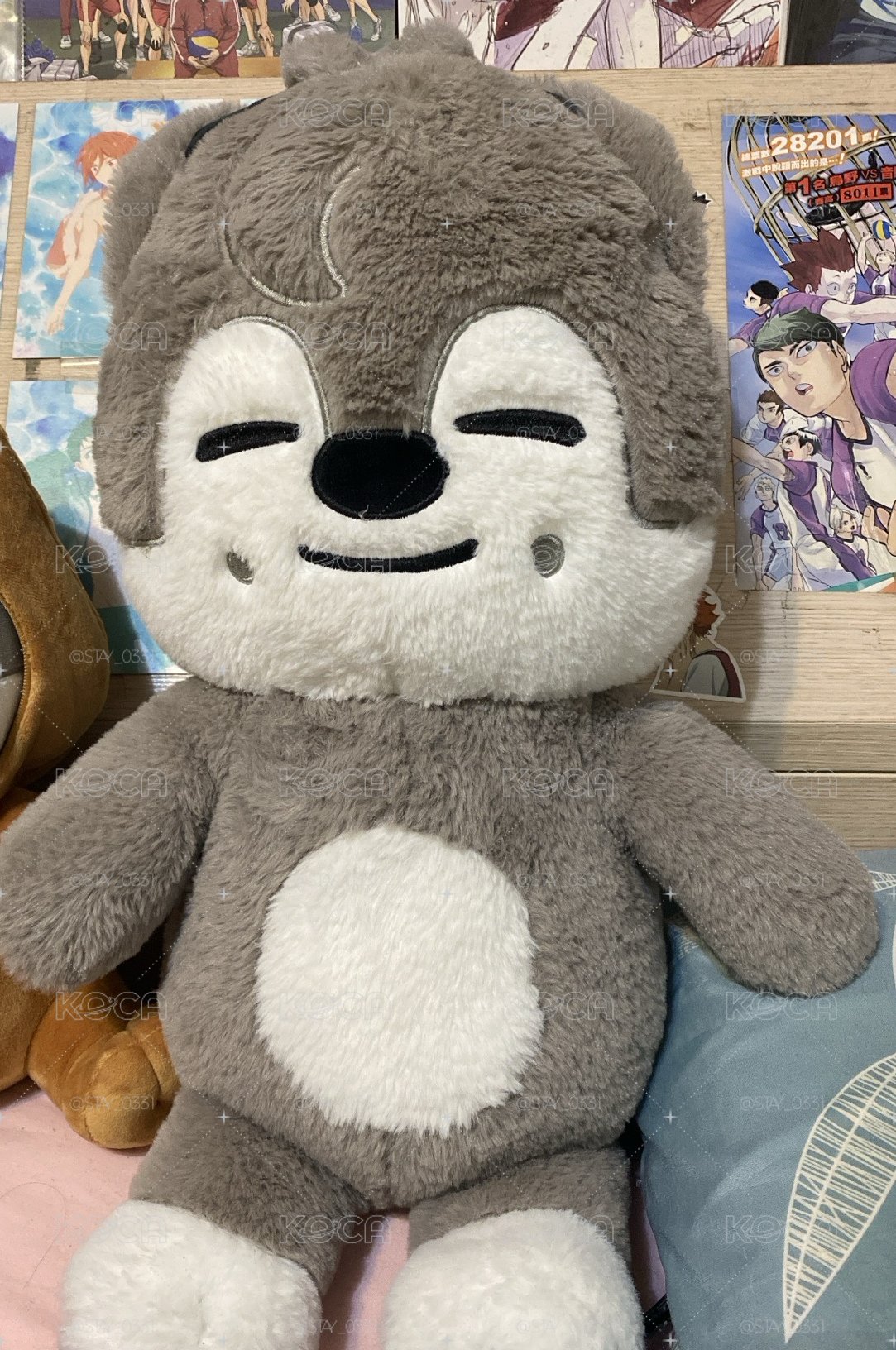 泰迪燦