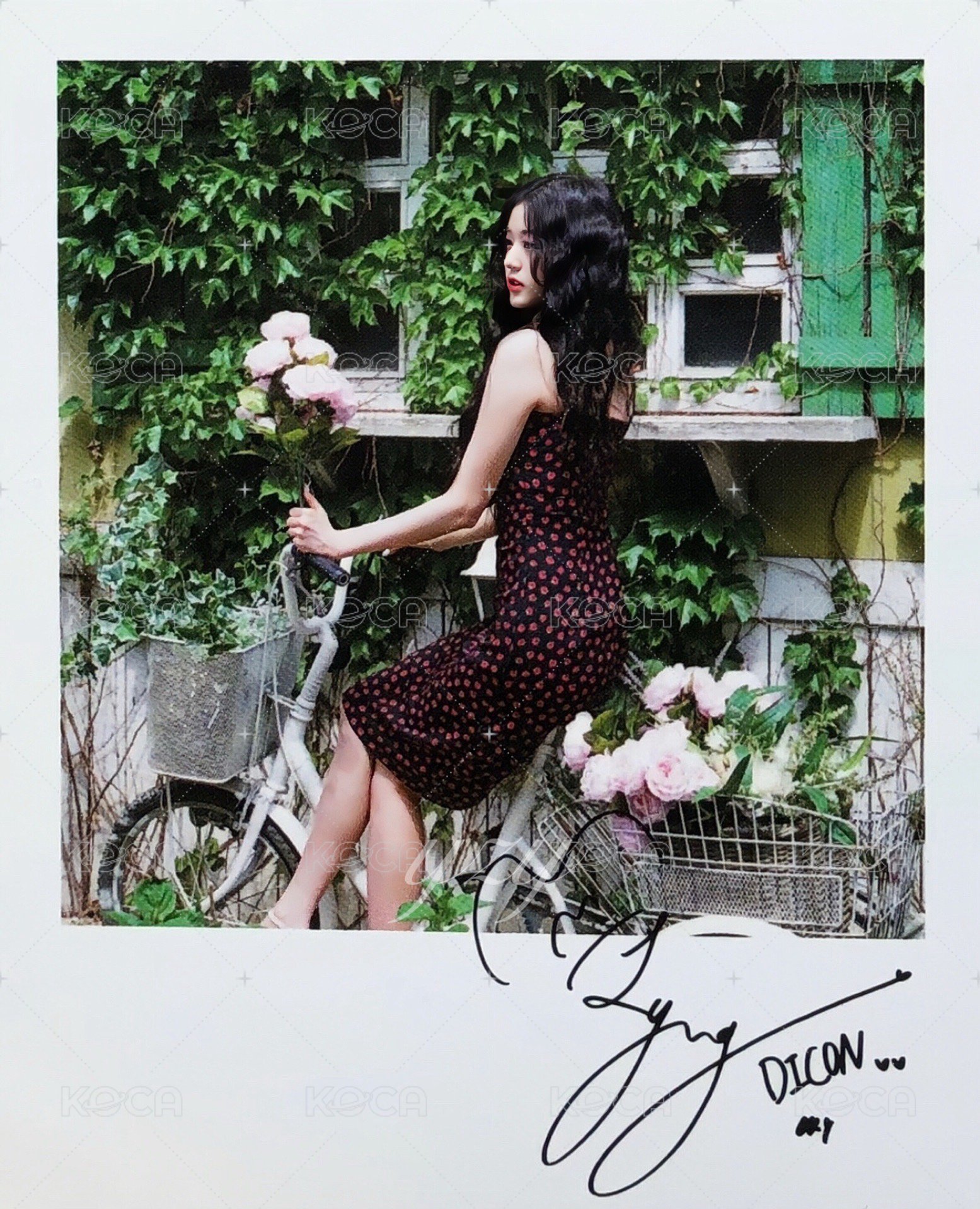 舊DICON 明信片 日版拍立得 背面