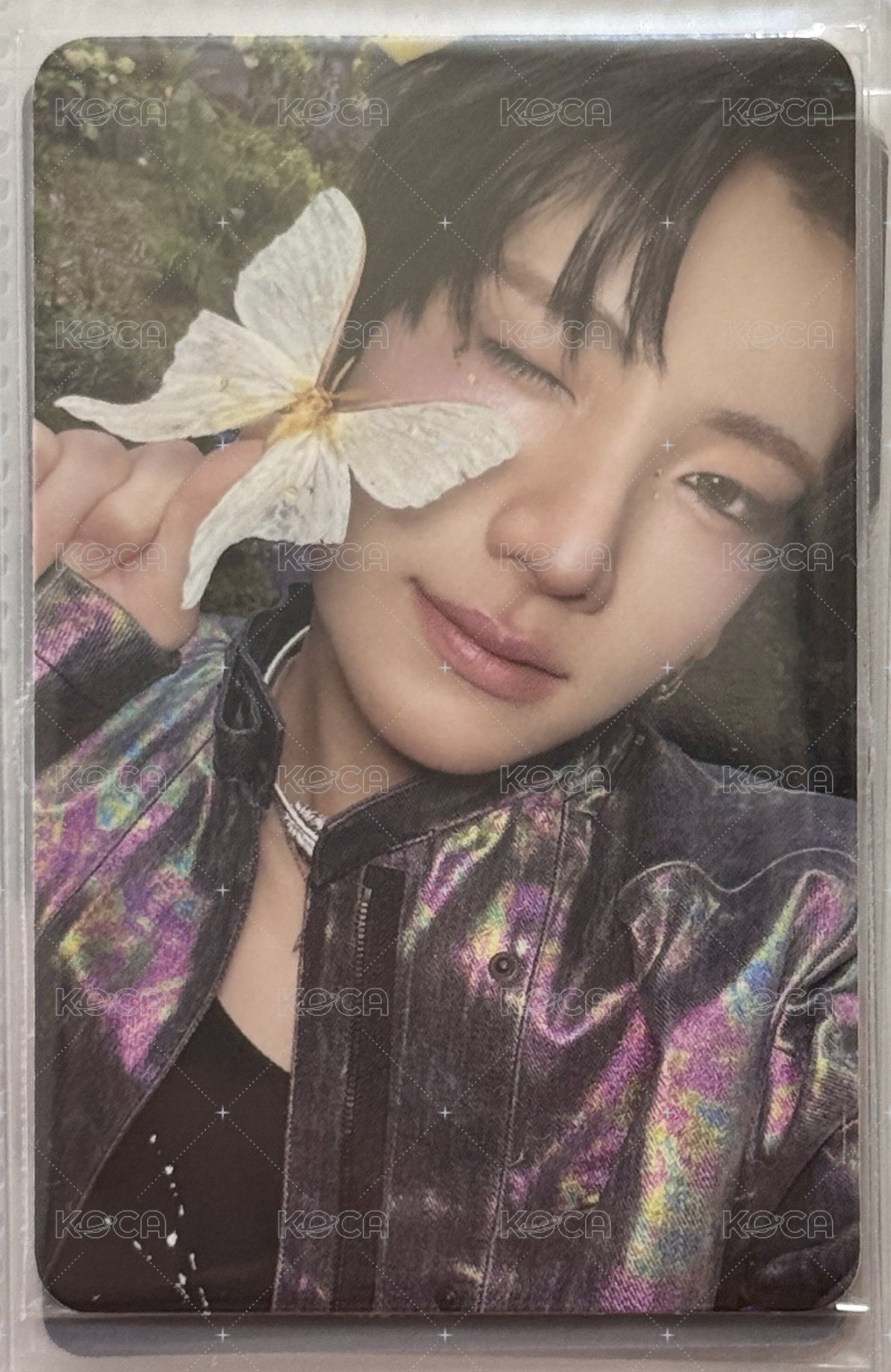 🐱🦋