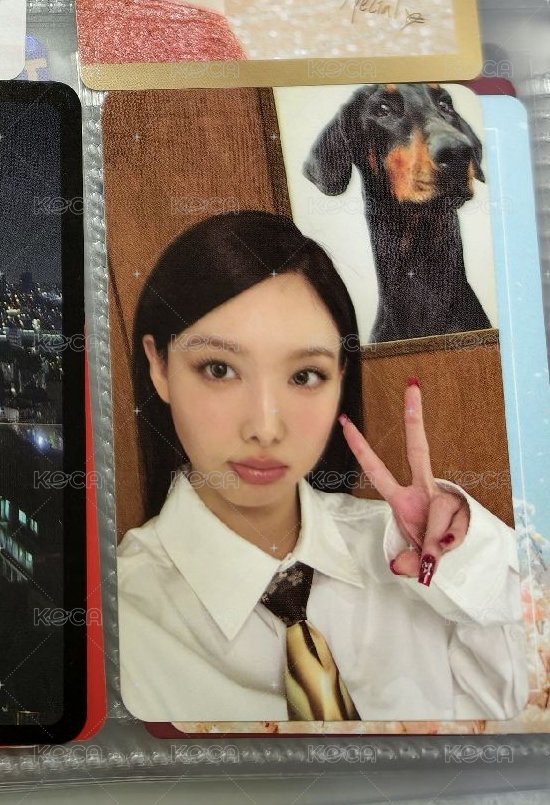 狗狗專卡