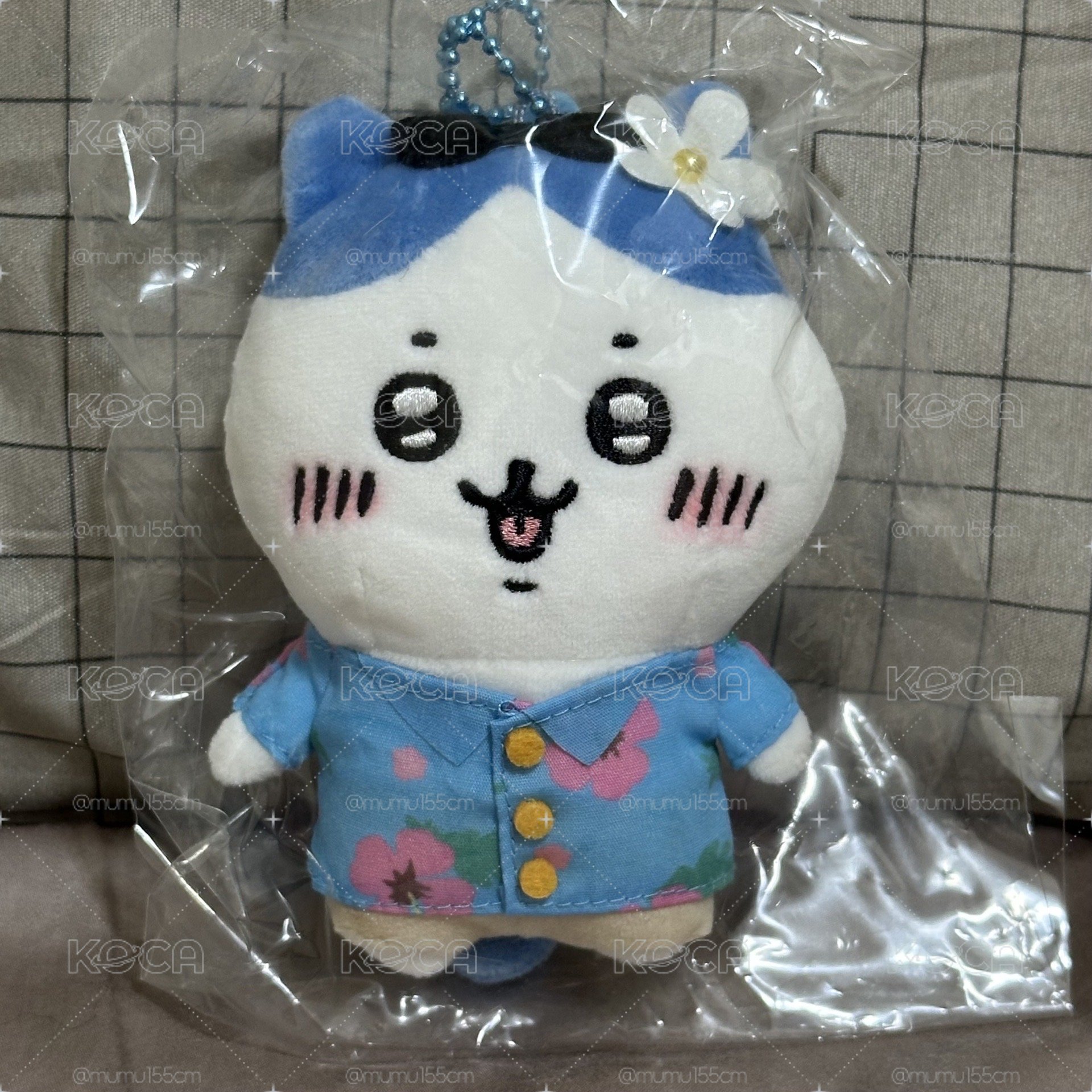 觀光小八