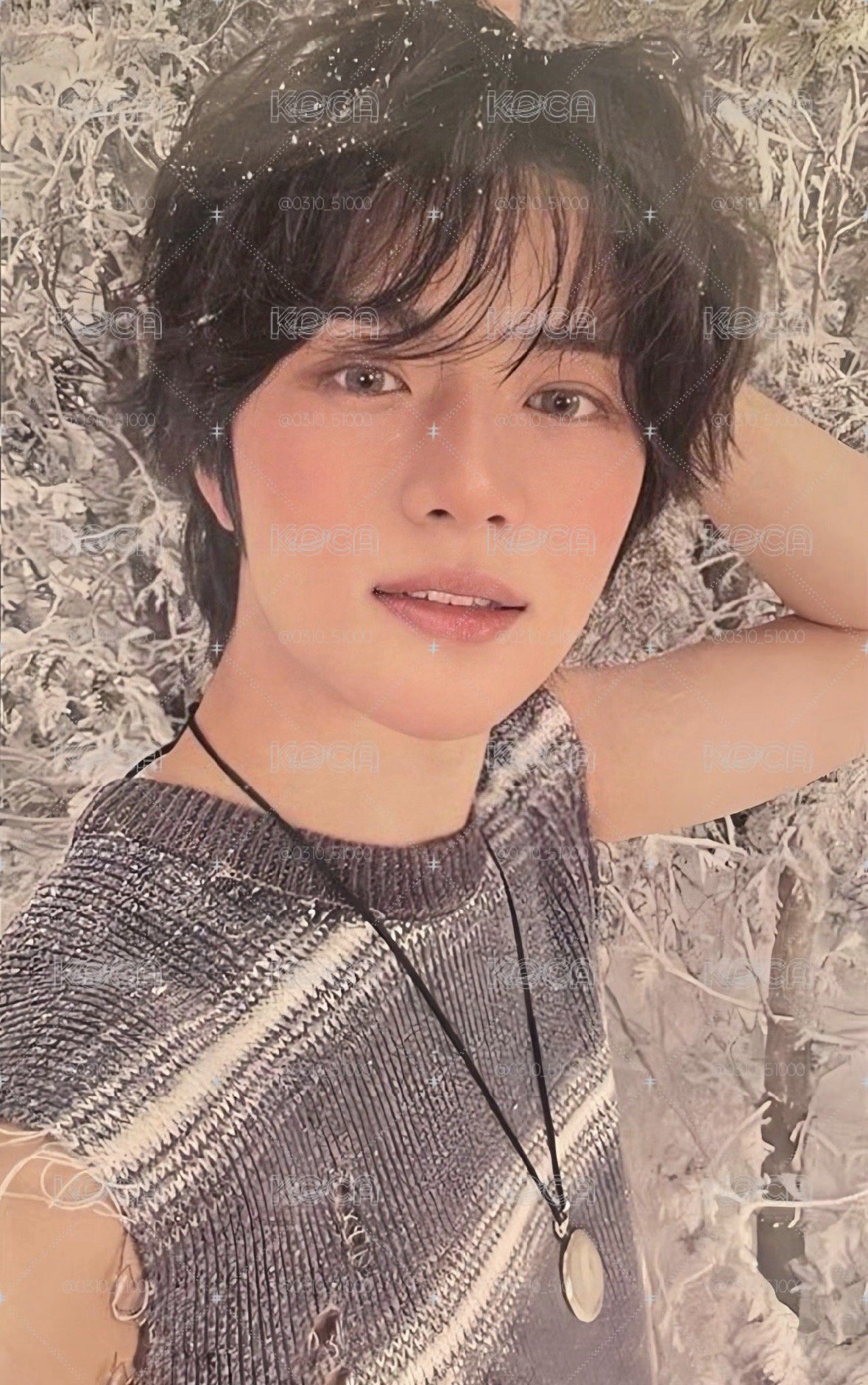 冒險王圭