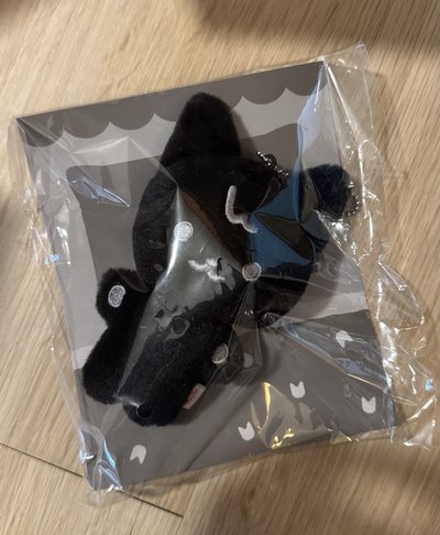 豆豆眼娃（含卡）傘榮☂️🐈‍⬛ 需帶🍒🈵100元