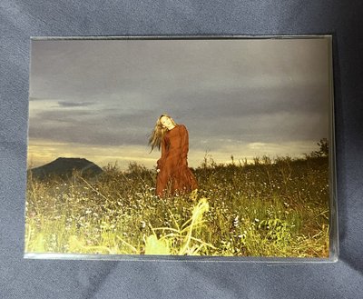 太妍 PURPOSE 豪華版 全專 + Panorama小卡*2 不拆售