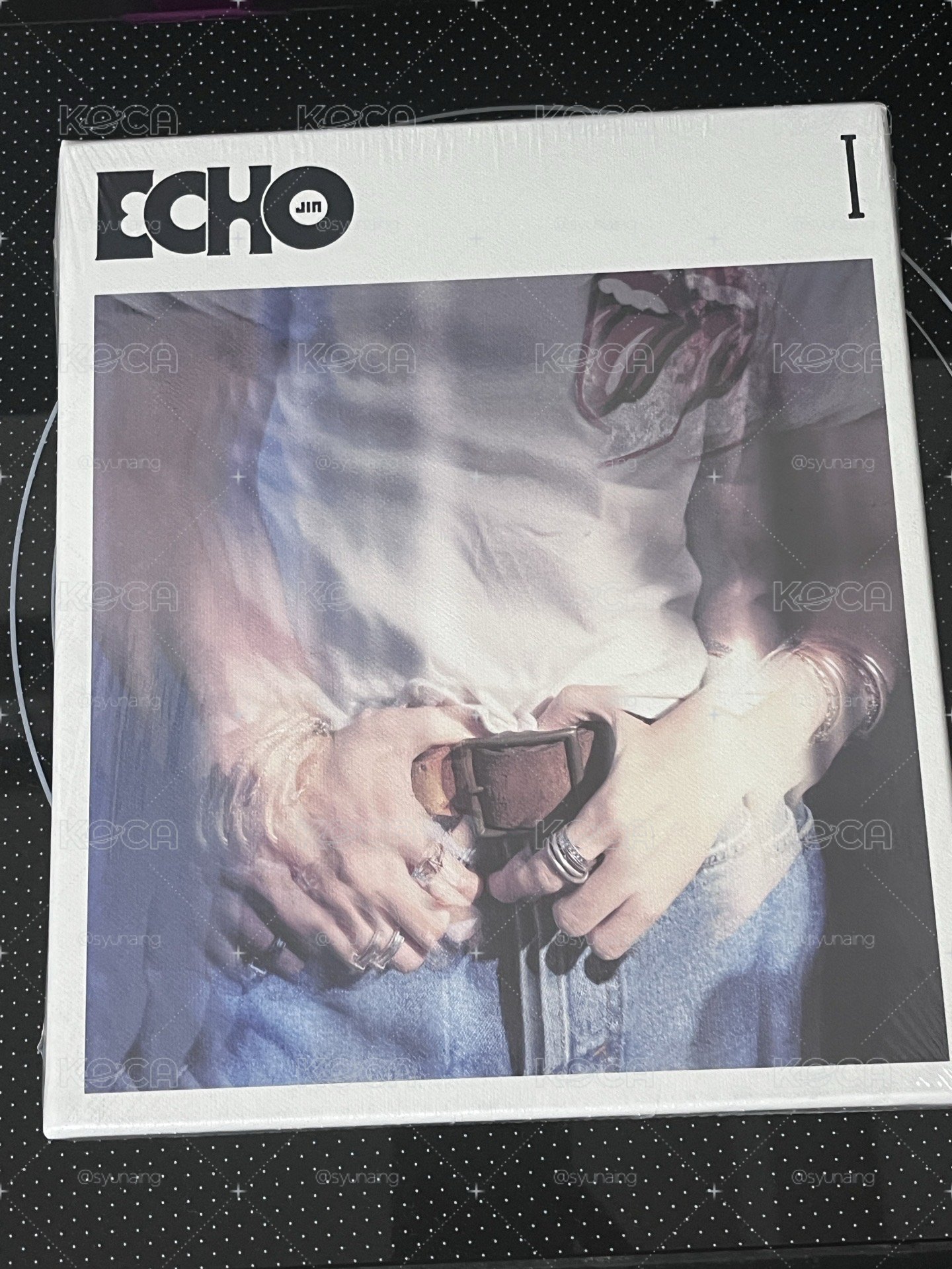 碩珍 echo未拆專