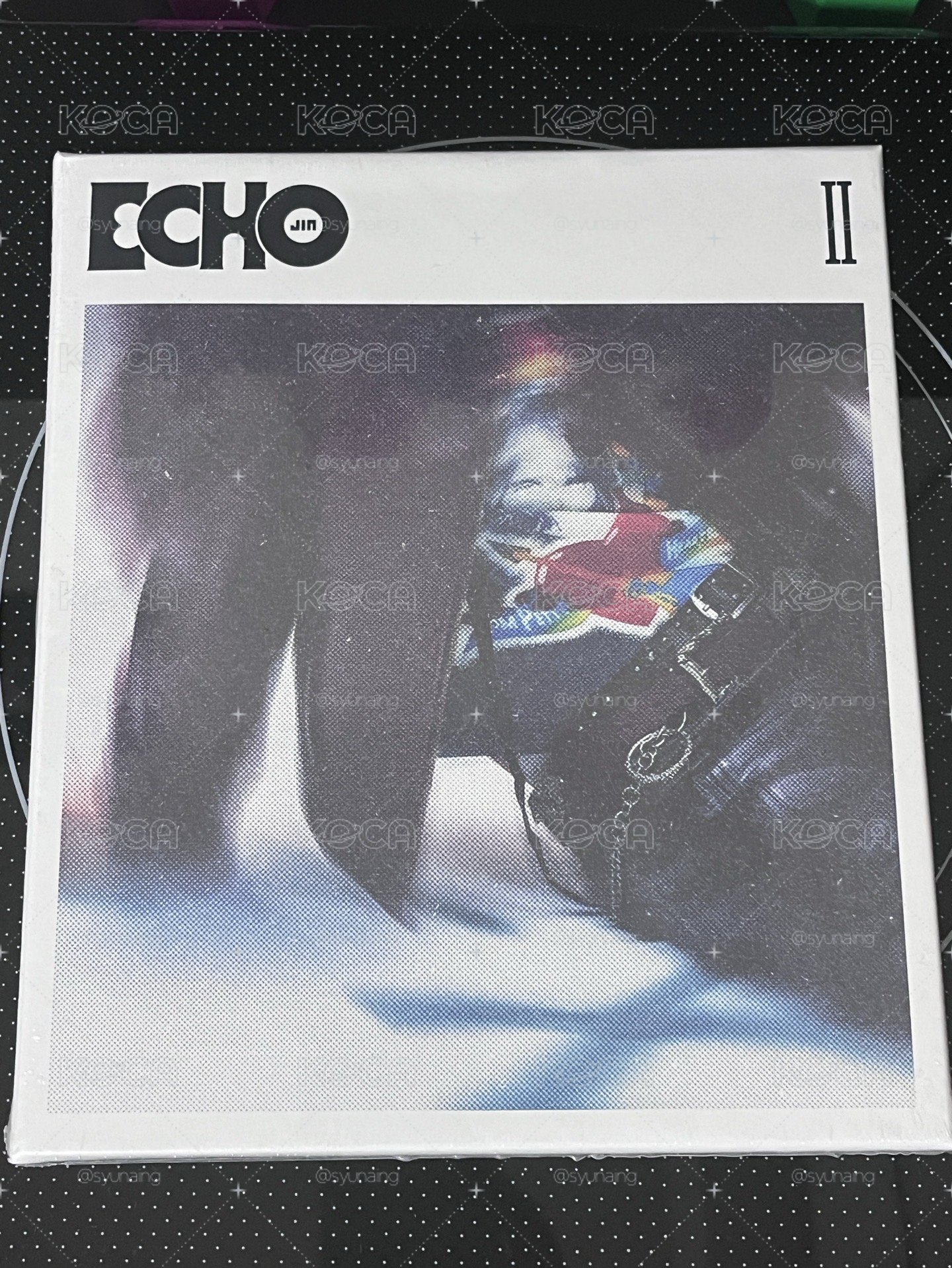 碩珍 echo專輯
