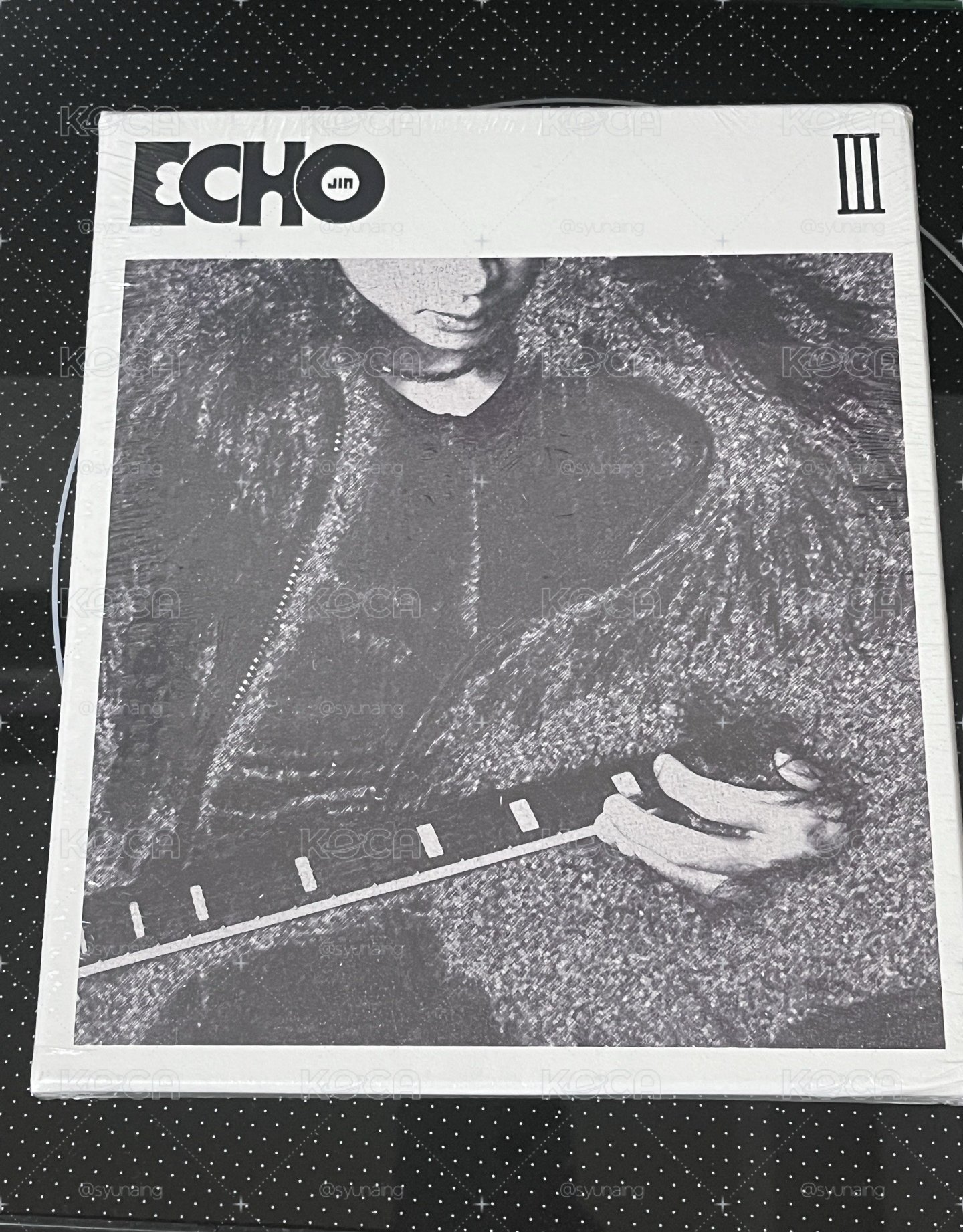 碩珍 echo專輯