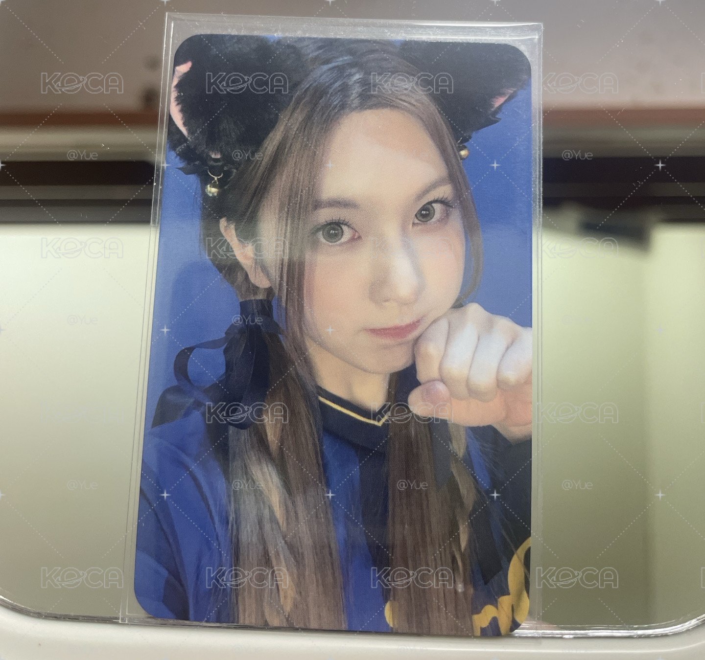 黑貓裴特典