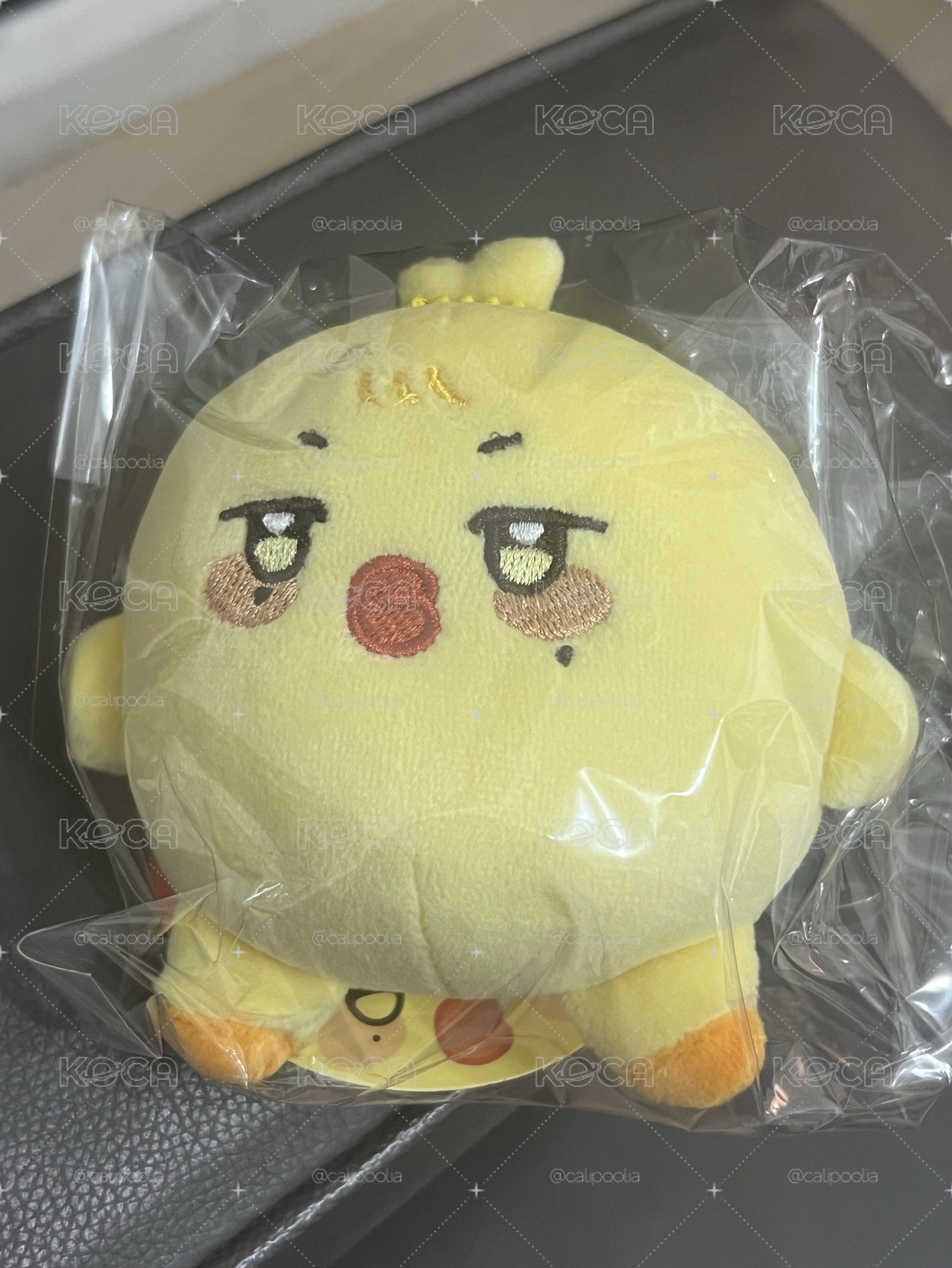 🩷胖胖小雞 需綁💛300