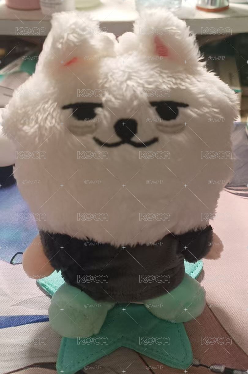 txt娃娃