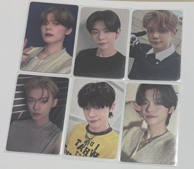 竣小盤（中背+通常竣）