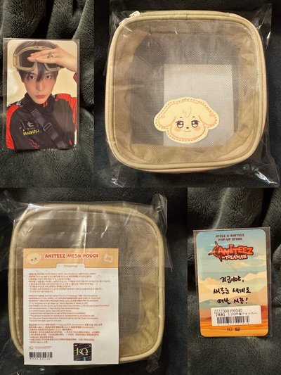 潤 ANITEEZ IN TREASURE TAIPEI ONLY 拉鍊收納袋 MESH POUCH TYUdeongi