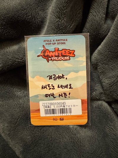 潤 ANITEEZ IN TREASURE TAIPEI ONLY 拉鍊收納袋 MESH POUCH TYUdeongi