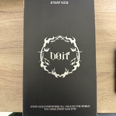 Stray kids 一直娛 Do it 快閃店 保溫杯 水杯 城