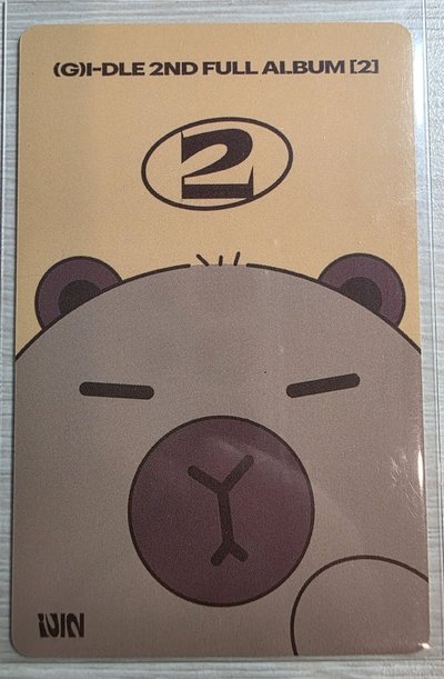 正規二 yzy 8.0 特典卡 卡皮巴拉 薇娟