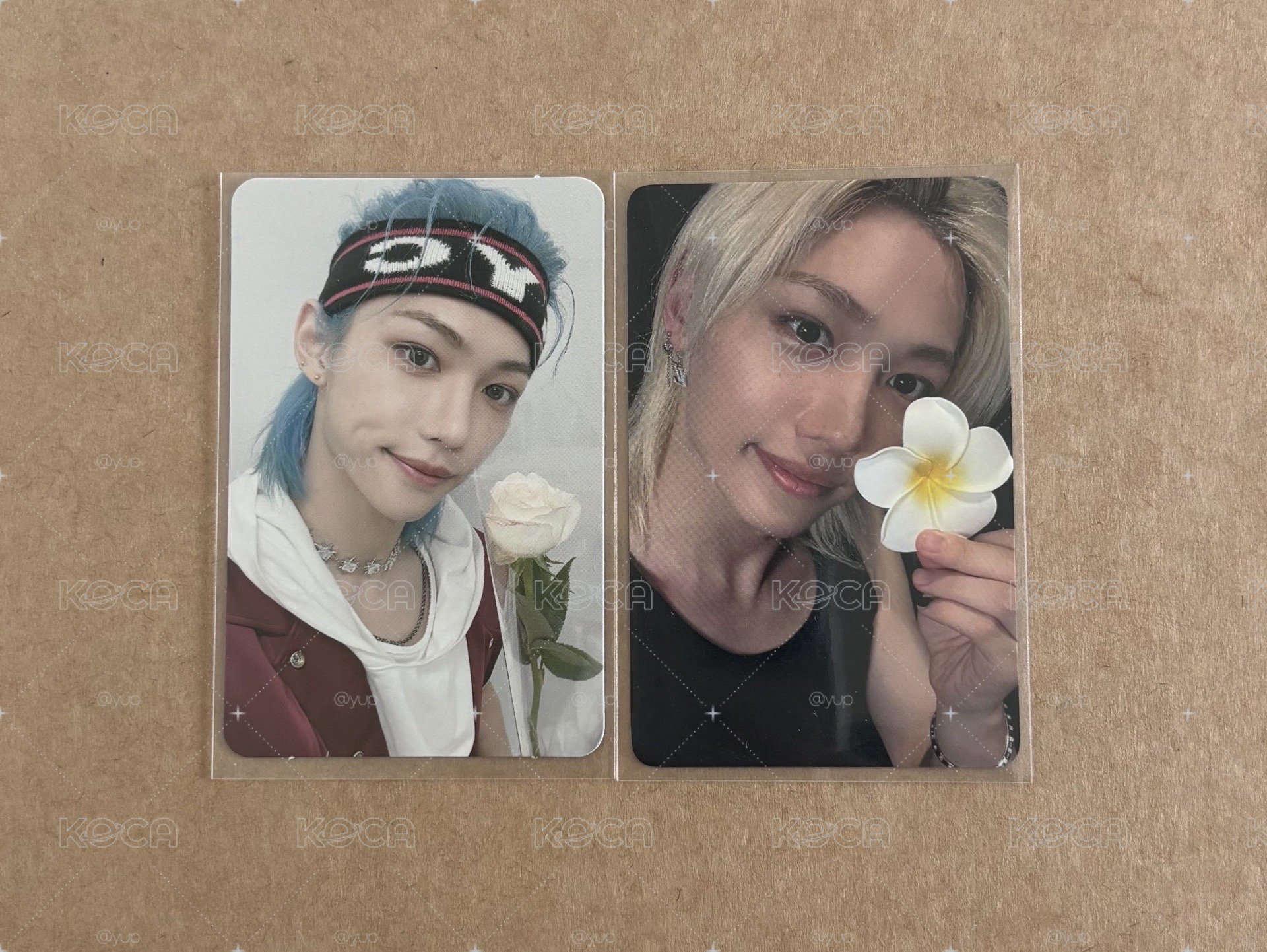 🧭SKZ 菲拿花特典