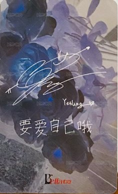 女友寫真 典藏版特典 雜誌卡  背面