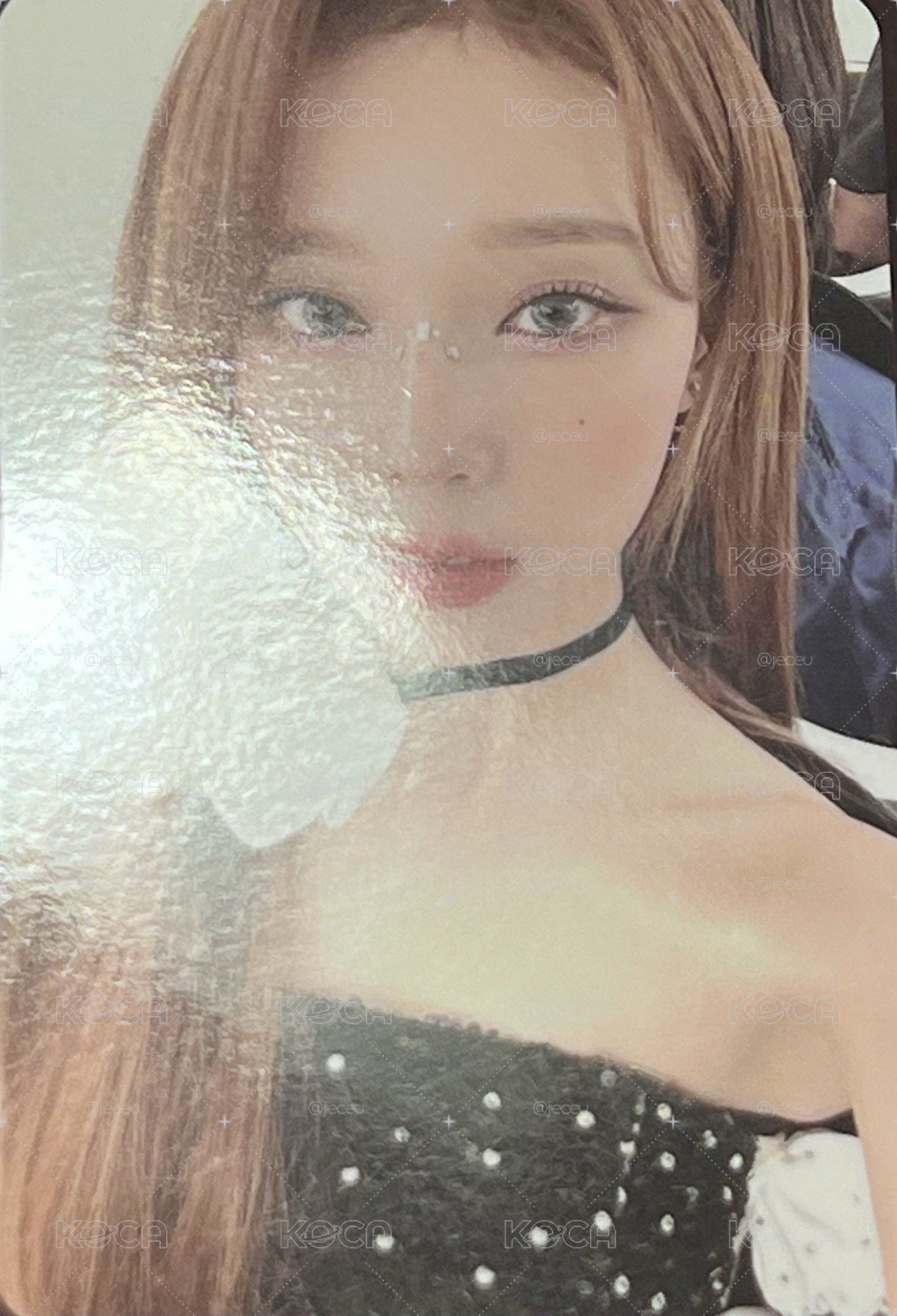 投影儀冬