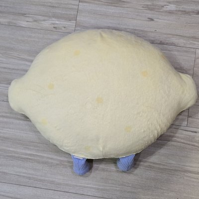 SJ MARKET 抱枕 藝聲