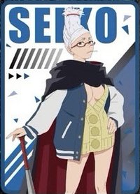 木棉花 台灣快閃店抽卡機 第2彈 閃卡 