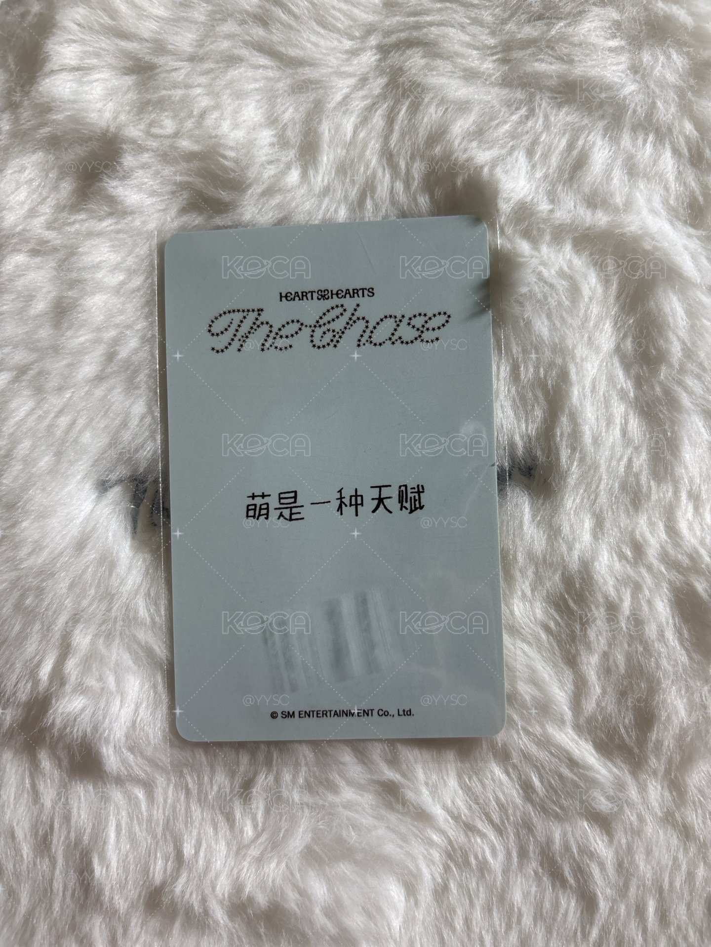 IAN 中文卡背 單一 kms 特典卡 MB ver.