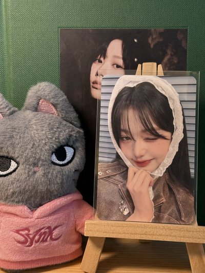 釜山員、白色圍巾員、ny粉髮秋（三張一起）1元起標