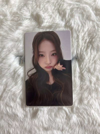 需多帶 Stella Focus ju 簽售卡 