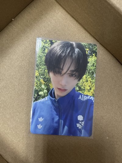 泰山 the action 專卡