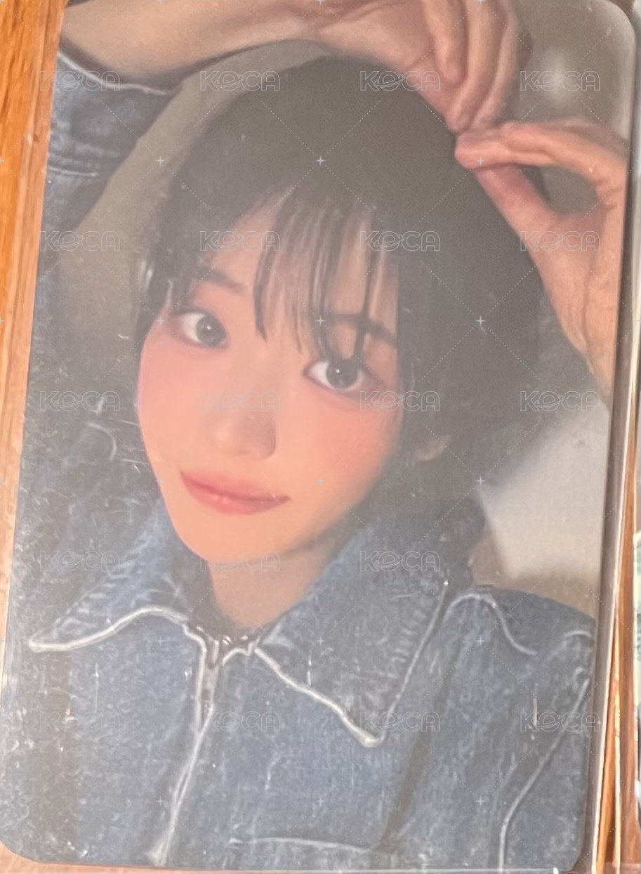 丹蝴蝶結中簽