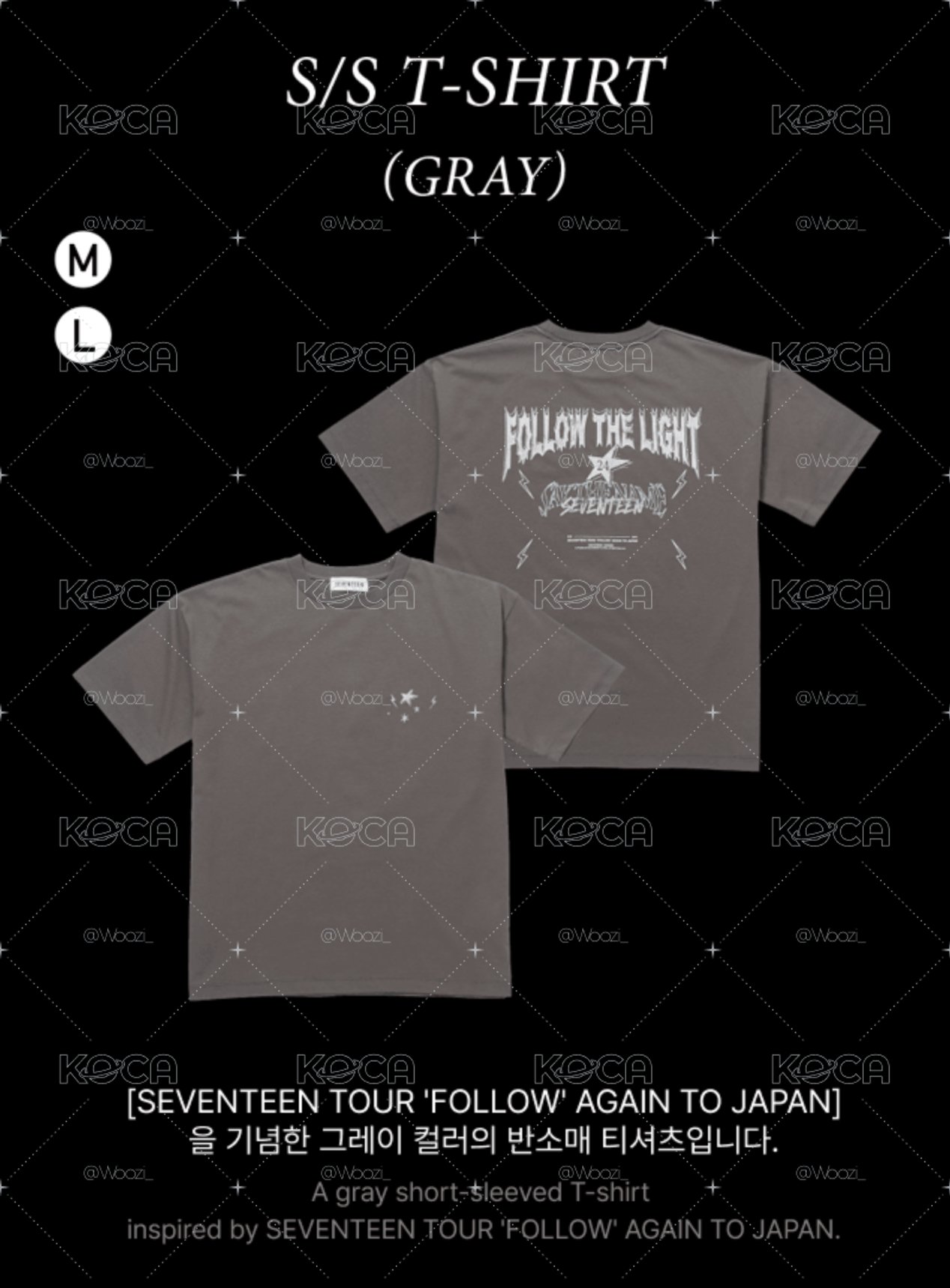 SEVENTEEN 'FOLLOW' AGAIN TO JAPAN／T-Shirt (Gray) 