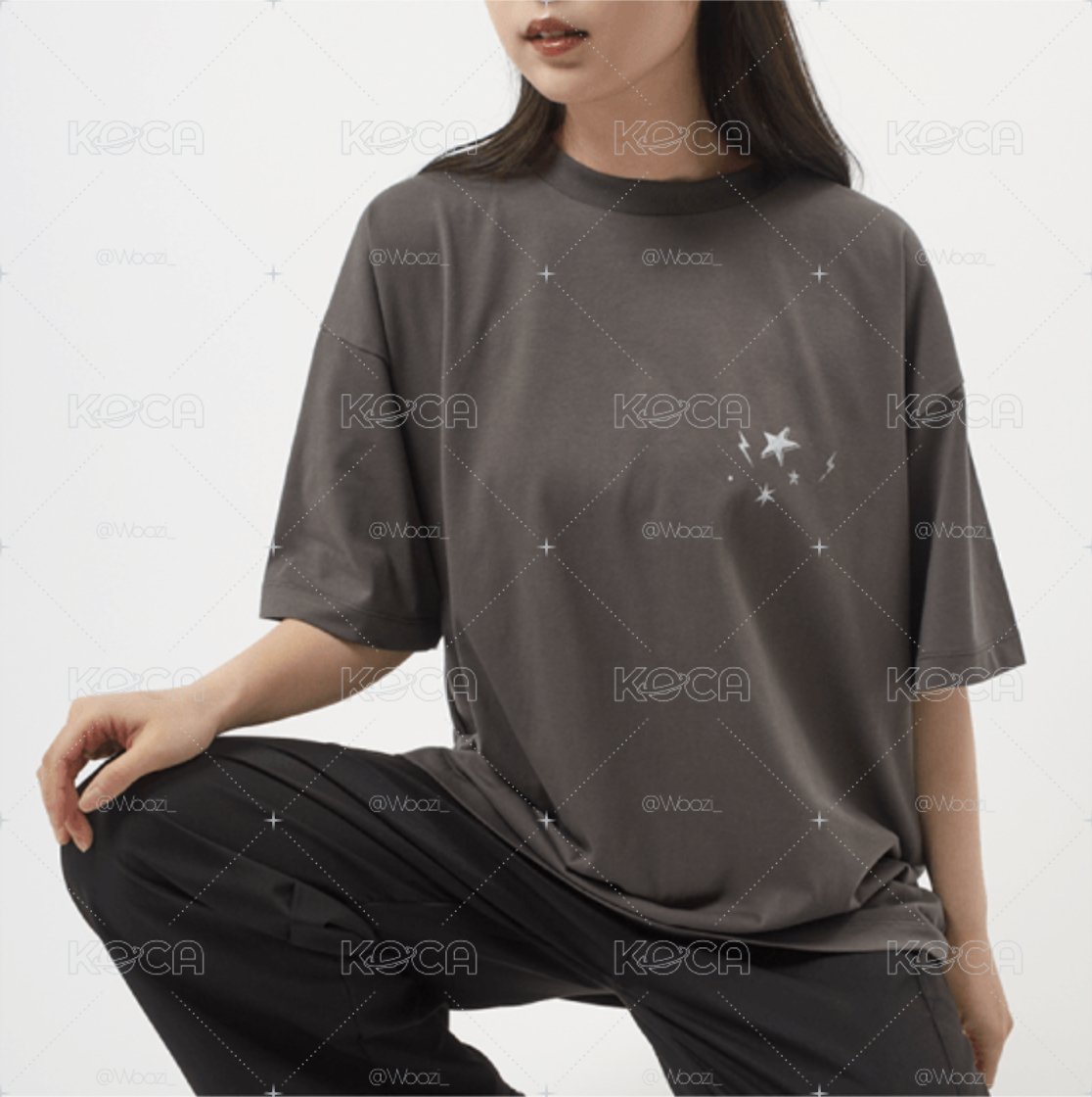 SEVENTEEN 'FOLLOW' AGAIN TO JAPAN／T-Shirt (Gray) 