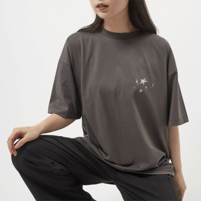 SEVENTEEN 'FOLLOW' AGAIN TO JAPAN／T-Shirt (Gray) 