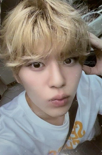 nctwish sion songbird kms3.0