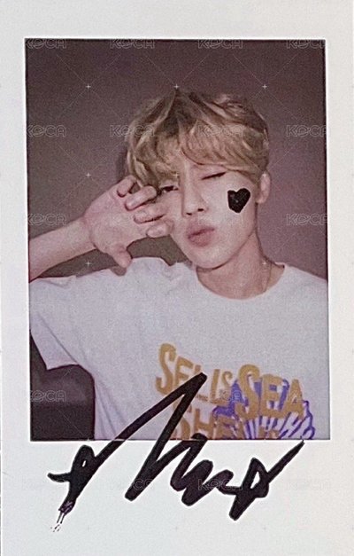 nctwish sion songbird kms3.0