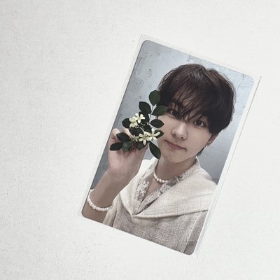 迷四 迷五 專卡