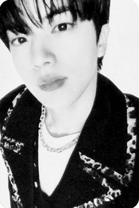 ARIRANG wvs 電子專 專輯卡 