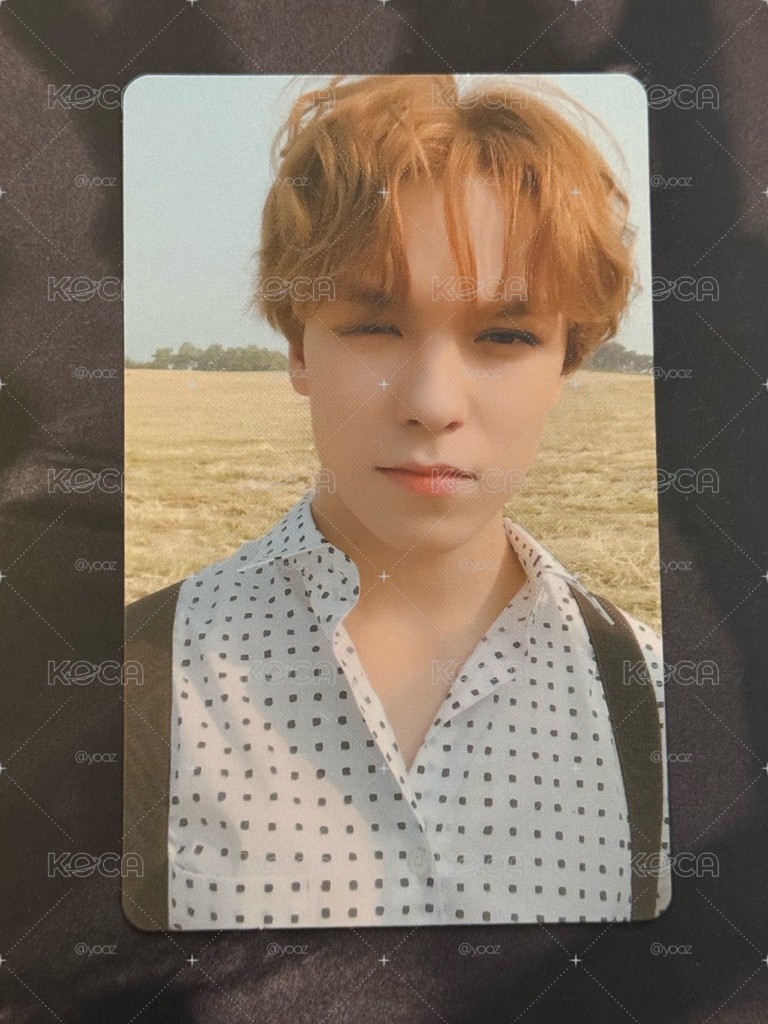 迷五 專卡 Vernon