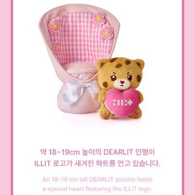 【預購/免二補】捧花大娃（約18-19公分）