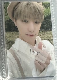 An Ode 貝雷帽-Dino