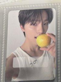 精選專 親愛盤-Dino