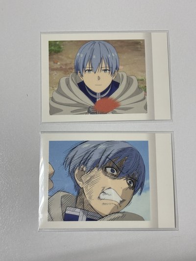 葬送的芙莉蓮 百面相 透卡 一套