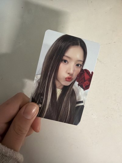 NMIXX Jiwoo金智友 玫瑰