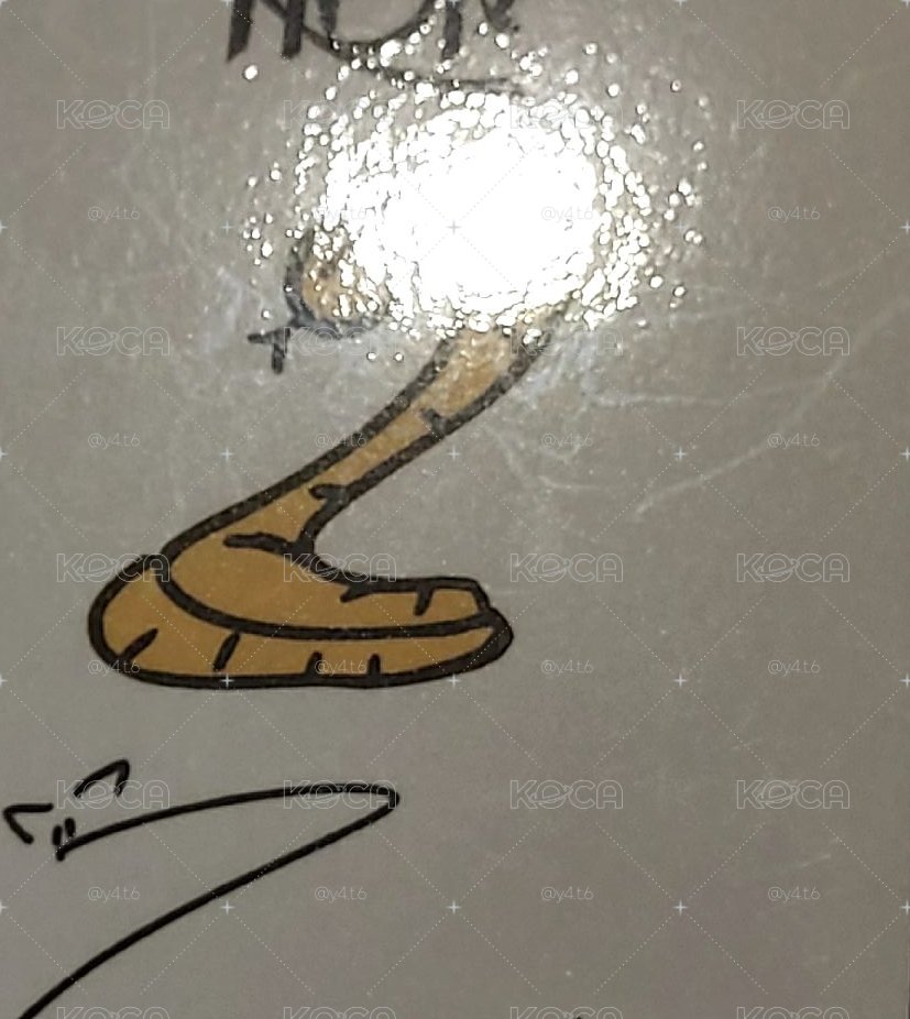 寅小卡盤（有損）