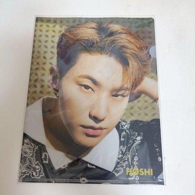 SEVENTEEN DICON My choice is hoshi